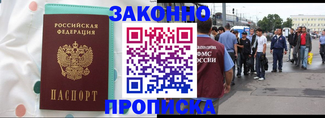 прописка 2025 в Кольчугино